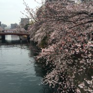IMG_3903